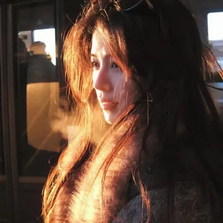 特搜战队刑事连者